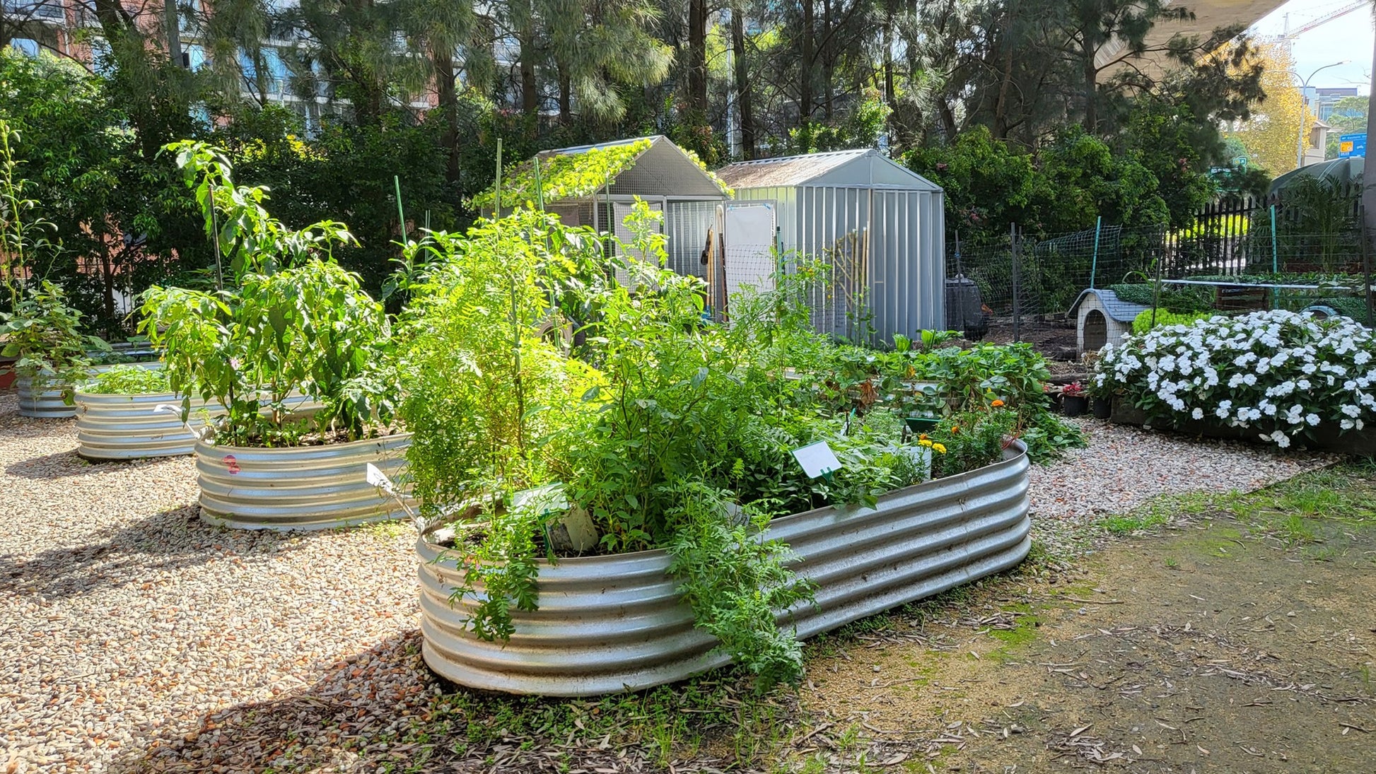 Kingspan Slimline Garden Bed Range