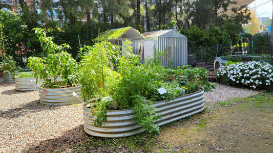 Kingspan Slimline Garden Bed Range